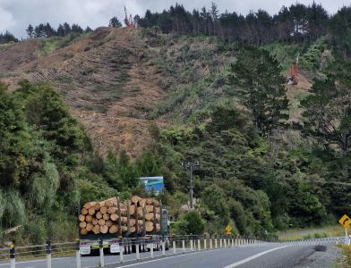 Forest & Motorway Image (Cropped)