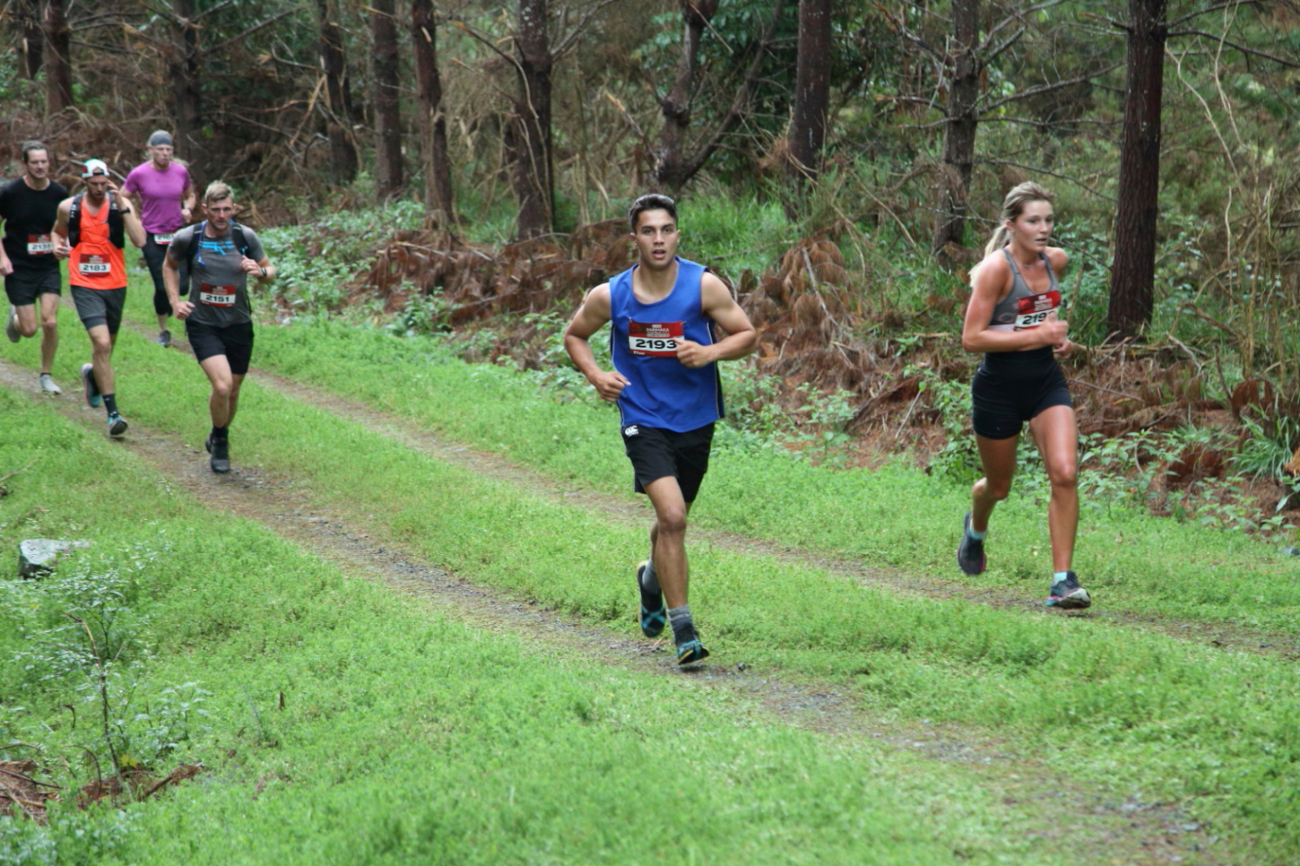 Runners on Parihaka Trail Run