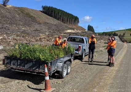 Resized Lakeview Forest Planting1