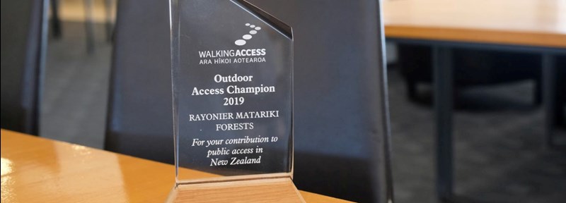 Cropped Access Champion Award 2021