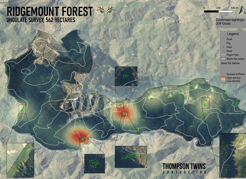 Ridgemount Forest Map