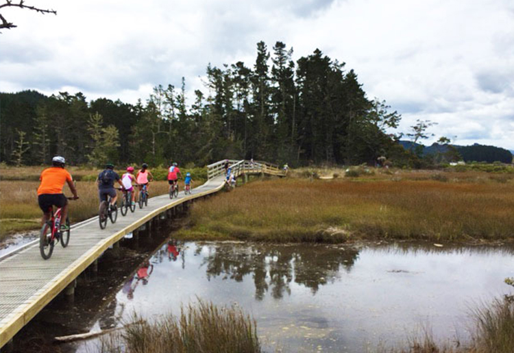 Pauanui Walkway